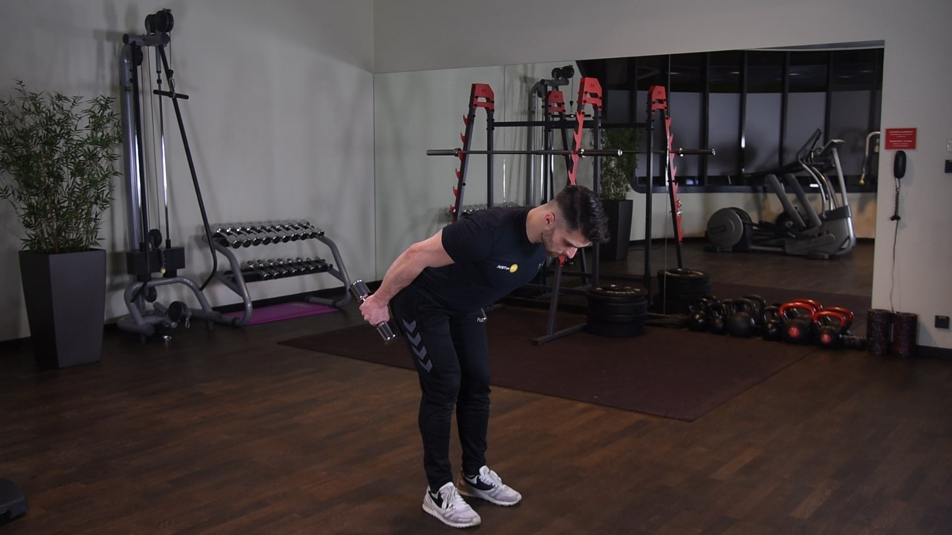 Prostowanie ramion z hantlami w opadzie tułowia - Just be FIT