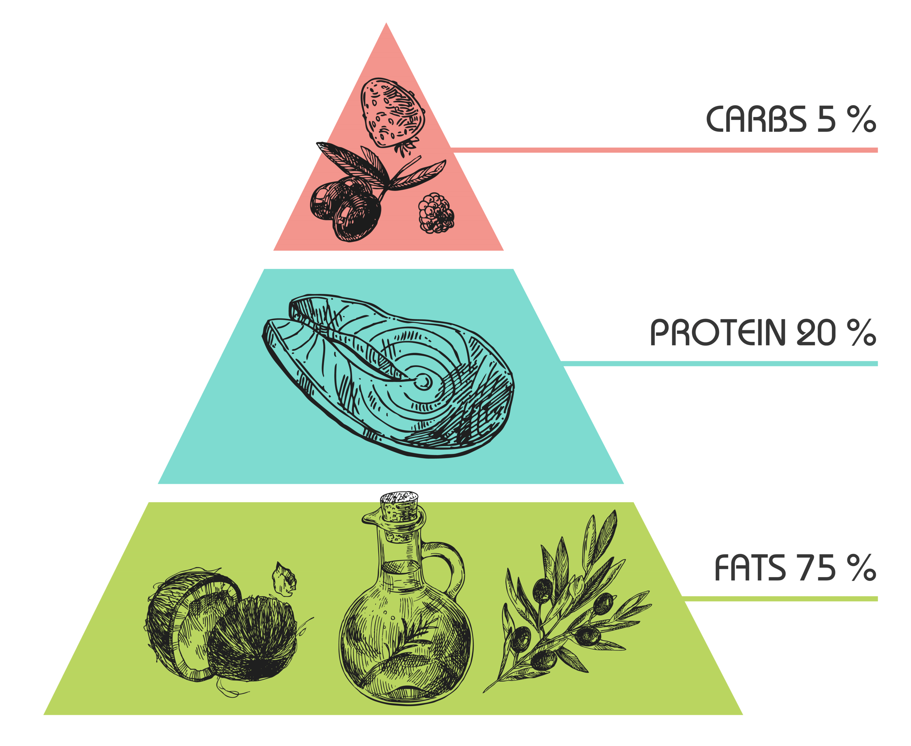 Dieta low carb piramida żywienia