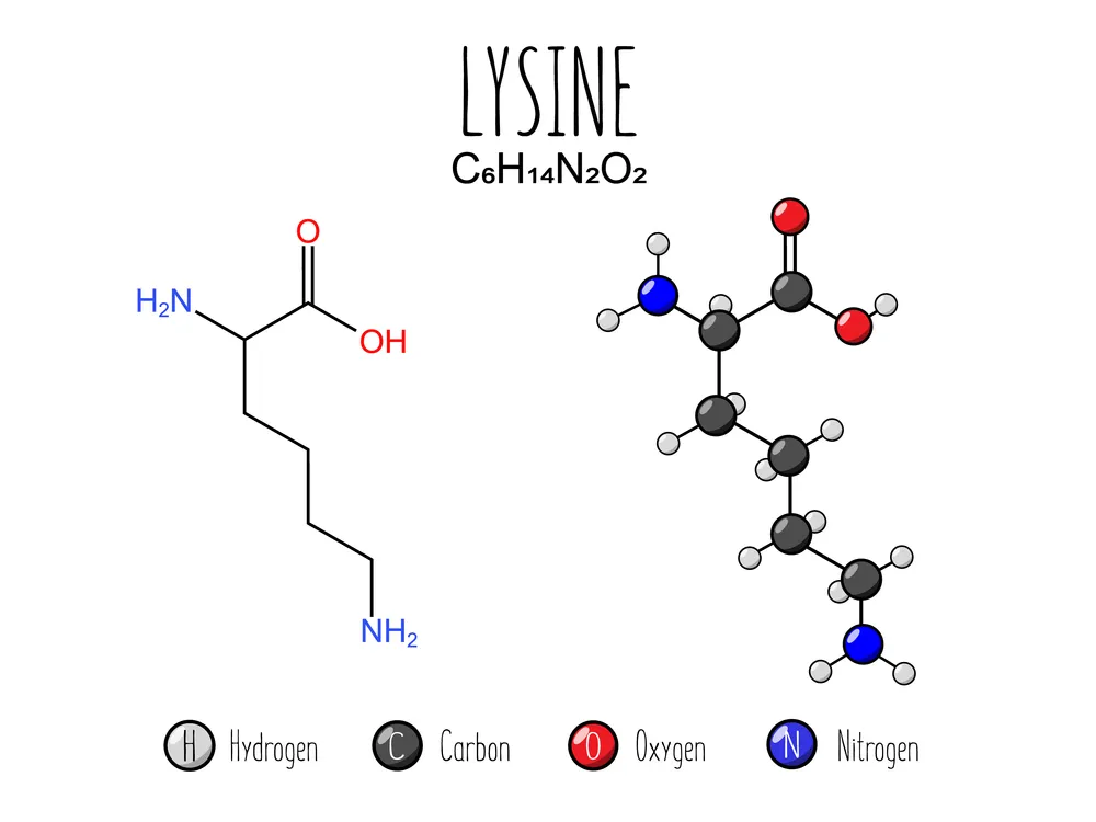 aminokwas lizyna