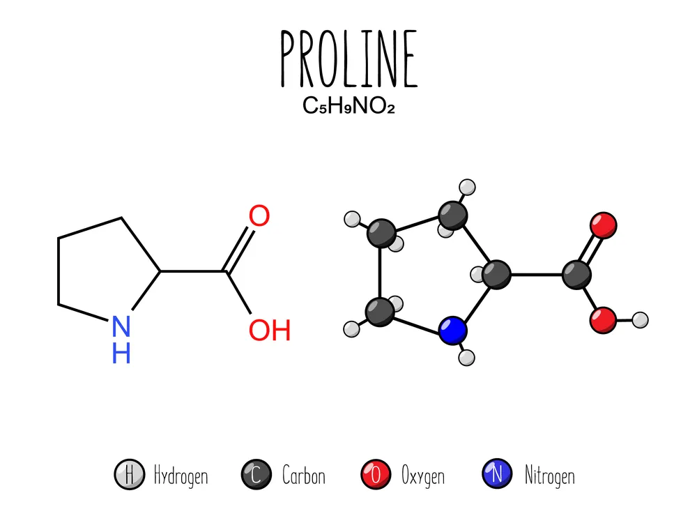 aminokwas prolina
