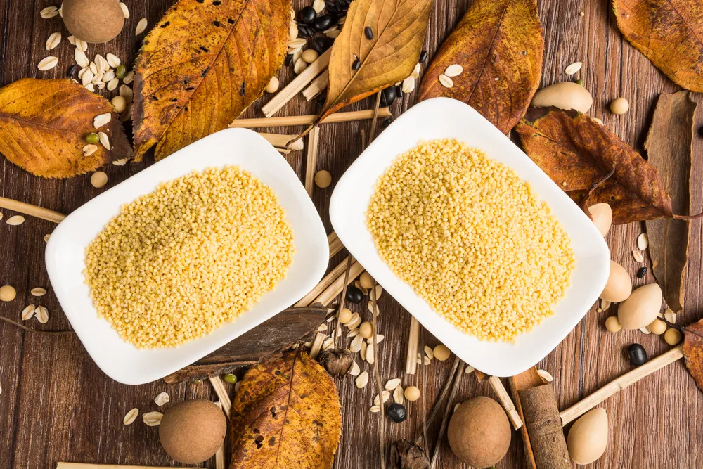 dwie miski kaszy jaglanej i jesienne liście
