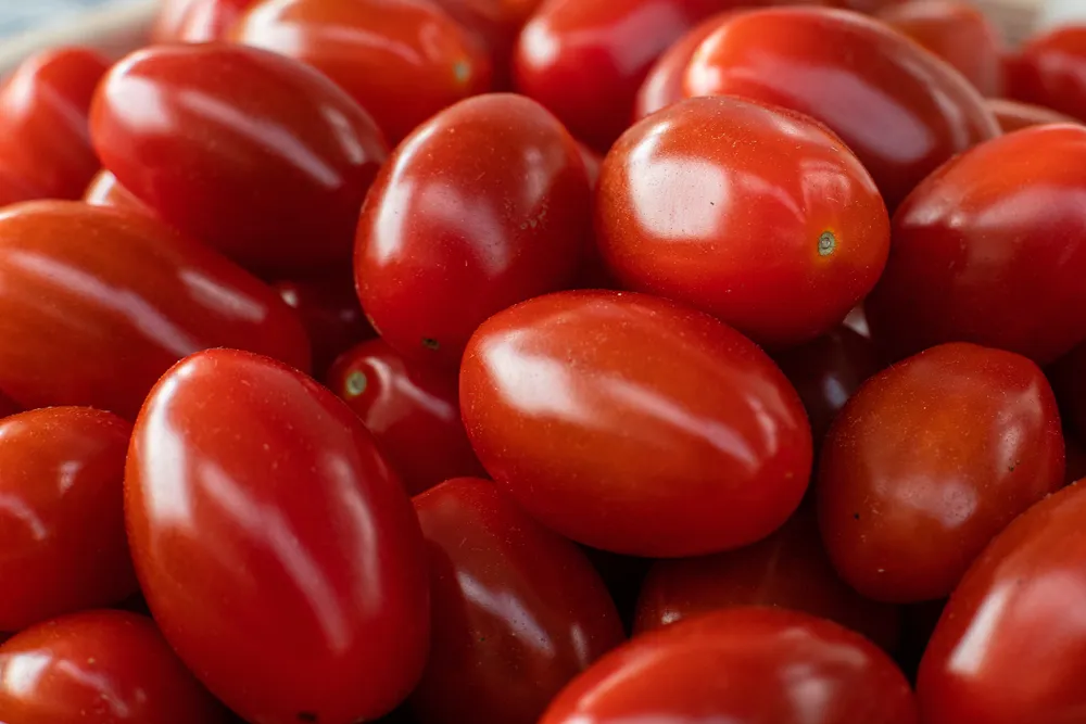 czerwone pomidory koktajlowe