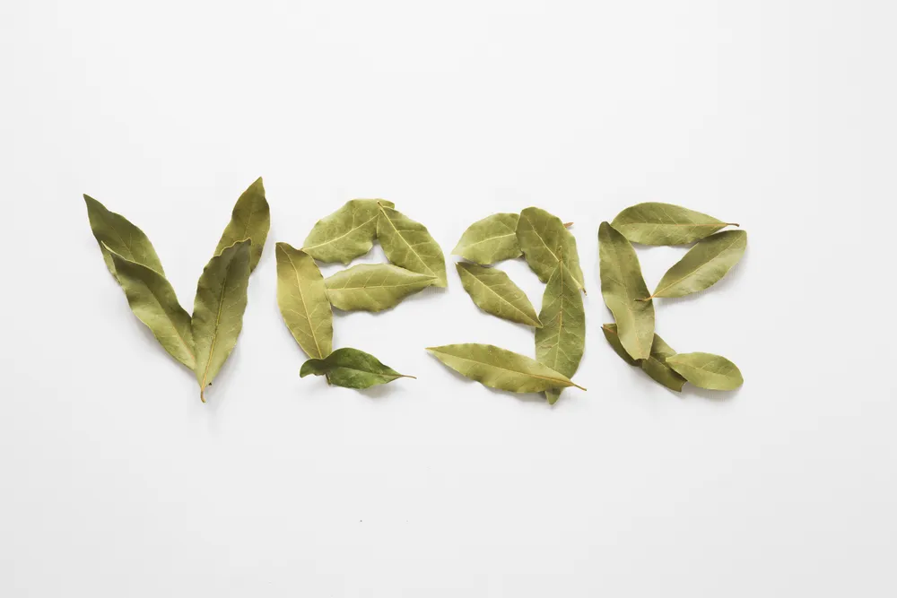 dieta wegetariańska dieta roślinna